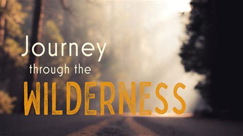   Journey Through the Wilderness A Powerful Guide to Reclaiming Inner Peace